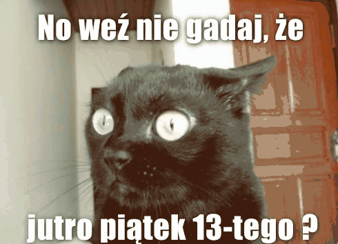 Zdziwiony czarny kot jutro piątek 13-go